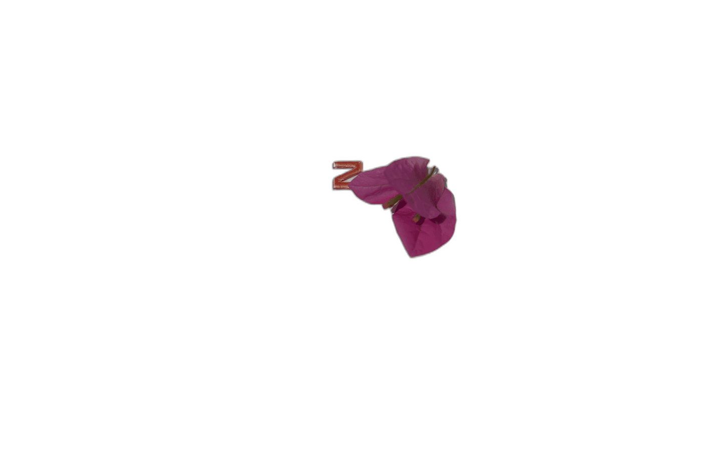 HTL5-VN — photo 5